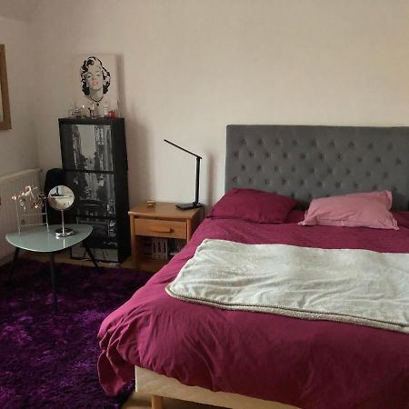 3 Chambres Chez Particulier Pour Les 24H Du Mans لو مان المظهر الخارجي الصورة